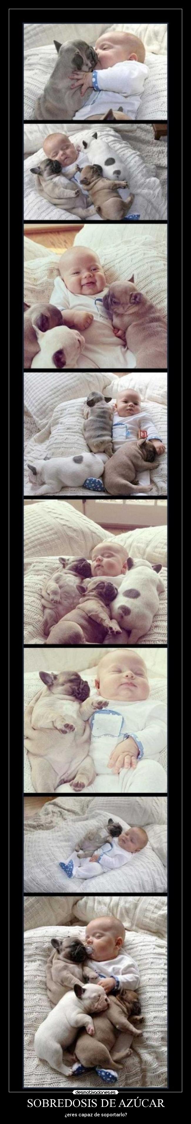 SOBREDOSIS DE AZÚCAR - ¿eres capaz de soportarlo?