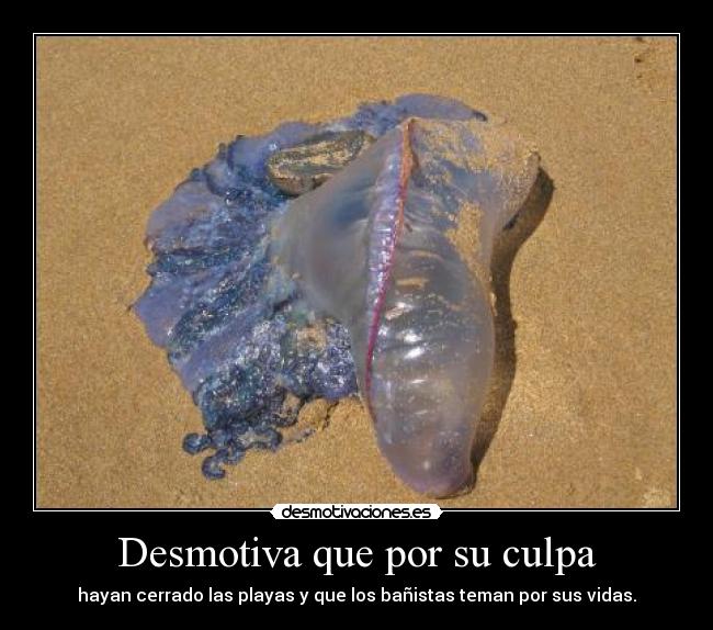 Desmotiva que por su culpa - hayan cerrado las playas y que los bañistas teman por sus vidas.