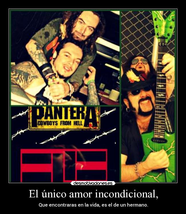 carteles amor max igor cavalera dimebag darrell vinnie paul desmotivaciones