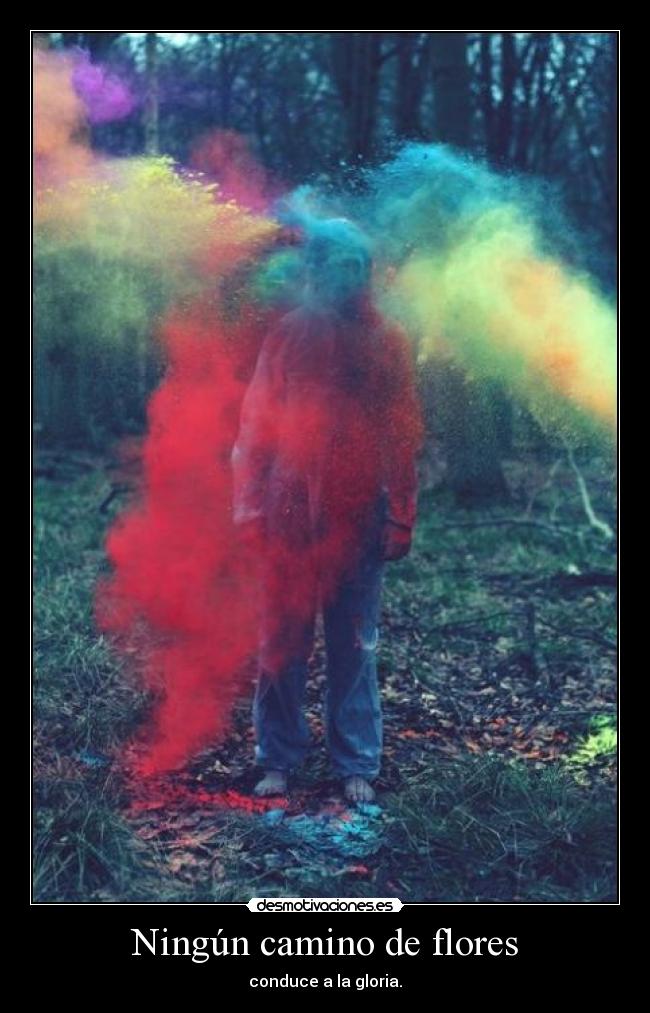 Ningún camino de flores -