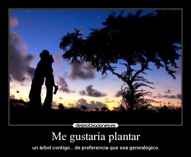 Me gustaría plantar - un árbol contigo... de preferencia que sea genealógico.