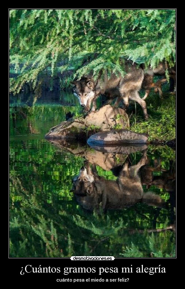 ¿Cuántos gramos pesa mi alegría - cuánto pesa el miedo a ser feliz?