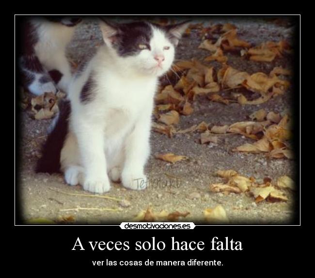 A veces solo hace falta - ver las cosas de manera diferente.