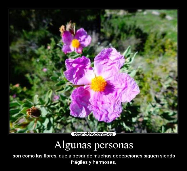 Algunas personas - 