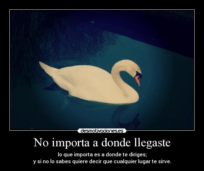 No importa a donde llegaste -
