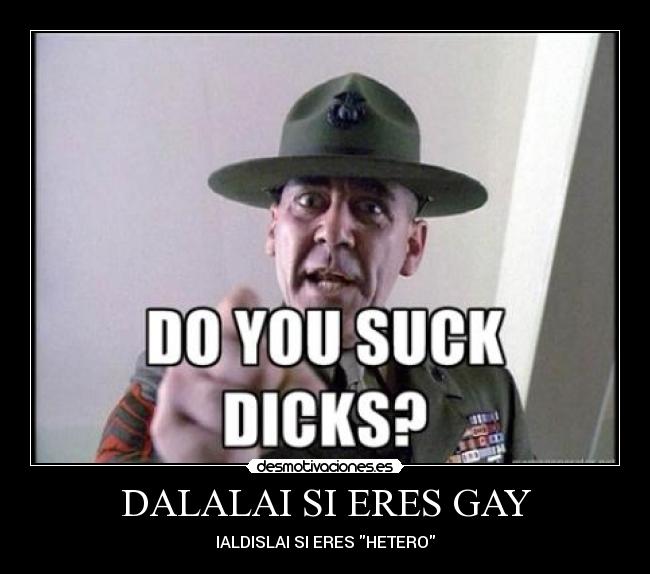 DALALAI SI ERES GAY - IALDISLAI SI ERES HETERO