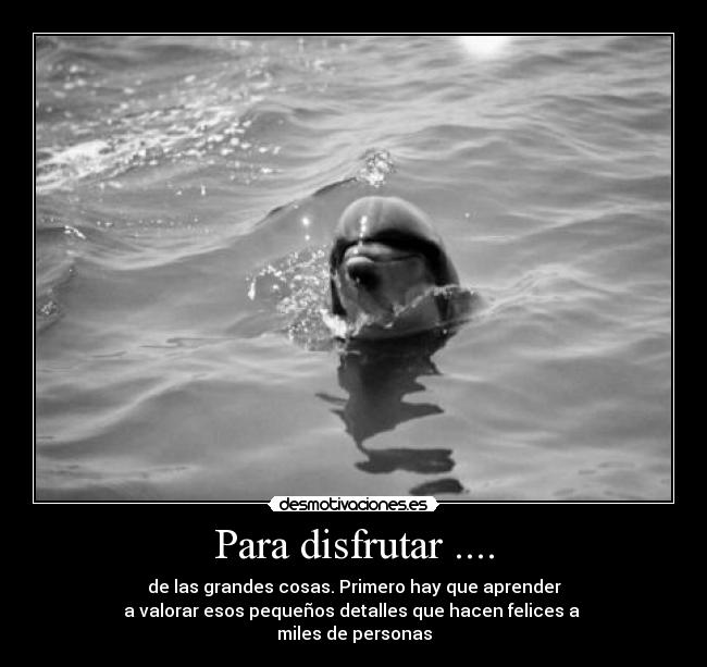 Para disfrutar .... - de las grandes cosas. Primero hay que aprender
a valorar esos pequeños detalles que hacen felices a
miles de personas