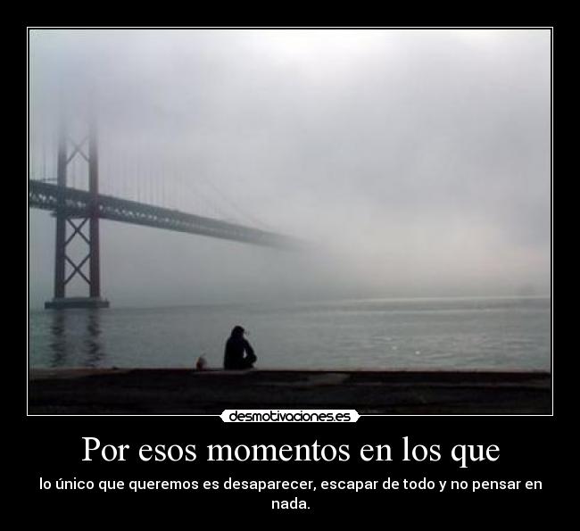 carteles desaparecer desmotivaciones