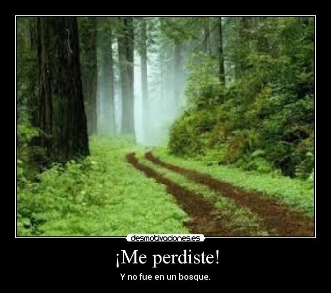 ¡Me perdiste! - Y no fue en un bosque.