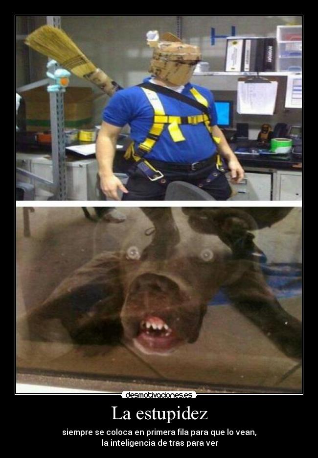 La estupidez - siempre se coloca en primera fila para que lo vean,
 la inteligencia de tras para ver