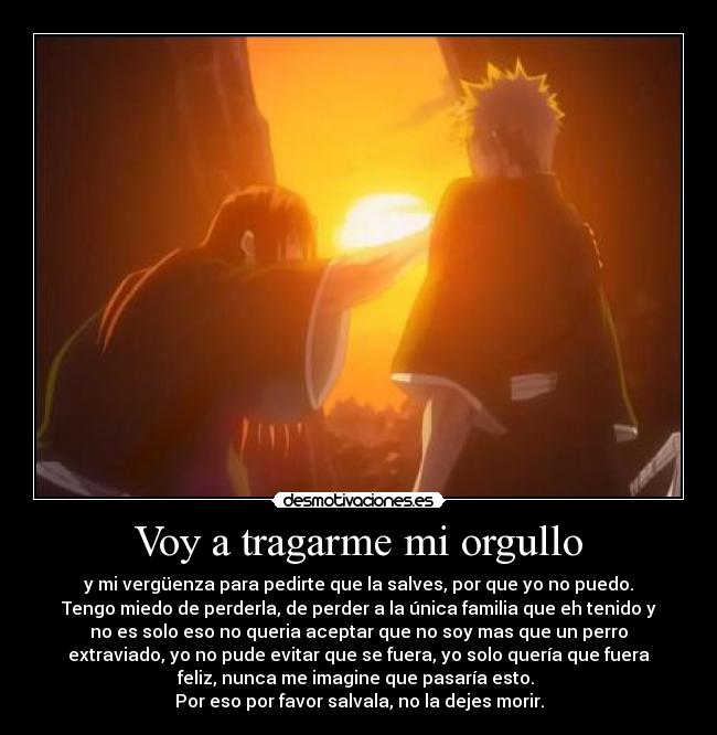 Voy a tragarme mi orgullo - y mi vergüenza para pedirte que la salves, por que yo no puedo.
Tengo miedo de perderla, de perder a la única familia que eh tenido y
no es solo eso no queria aceptar que no soy mas que un perro
extraviado, yo no pude evitar que se fuera, yo solo quería que fuera
feliz, nunca me imagine que pasaría esto. 
Por eso por favor salvala, no la dejes morir.