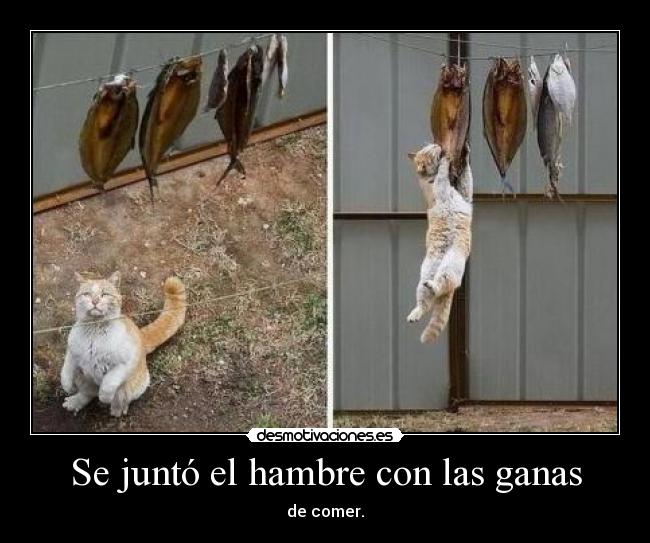 Se juntó el hambre con las ganas -