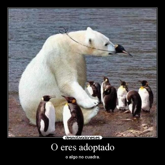 carteles algo cuadra desmotivaciones