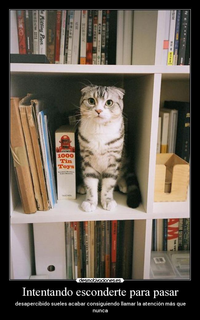 Intentando esconderte para pasar - 