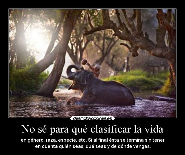 No sé para qué clasificar la vida - 