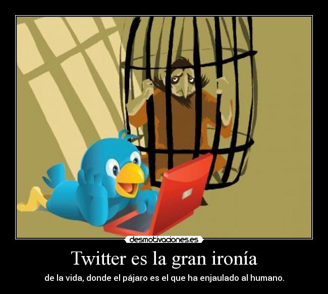 Twitter es la gran ironía -