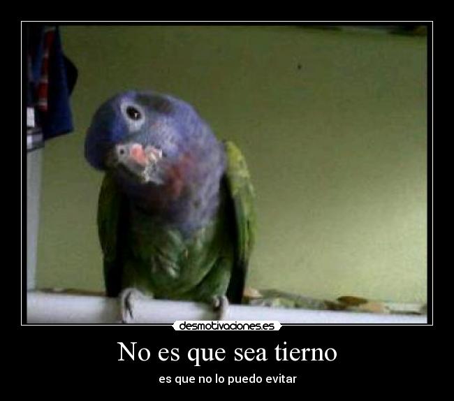 carteles tierno desmotivaciones