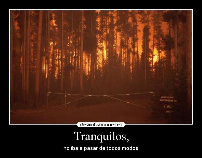 Tranquilos, - no iba a pasar de todos modos.