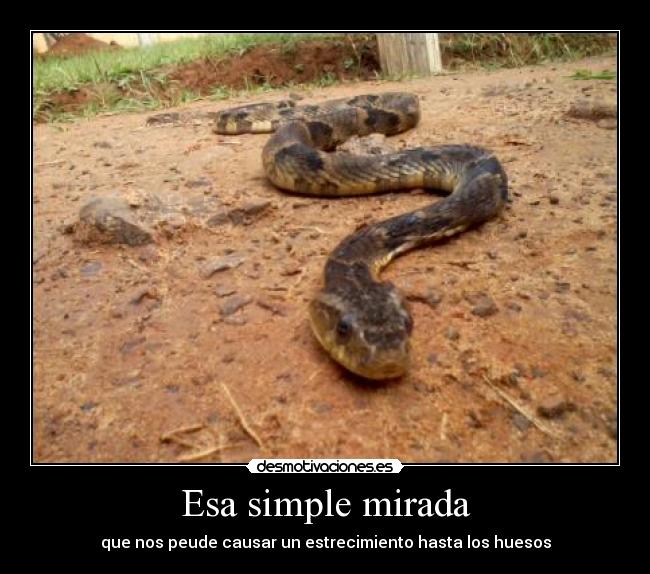 Esa simple mirada - que nos peude causar un estrecimiento hasta los huesos