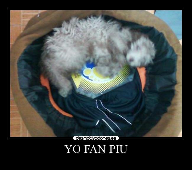 YO FAN PIU -