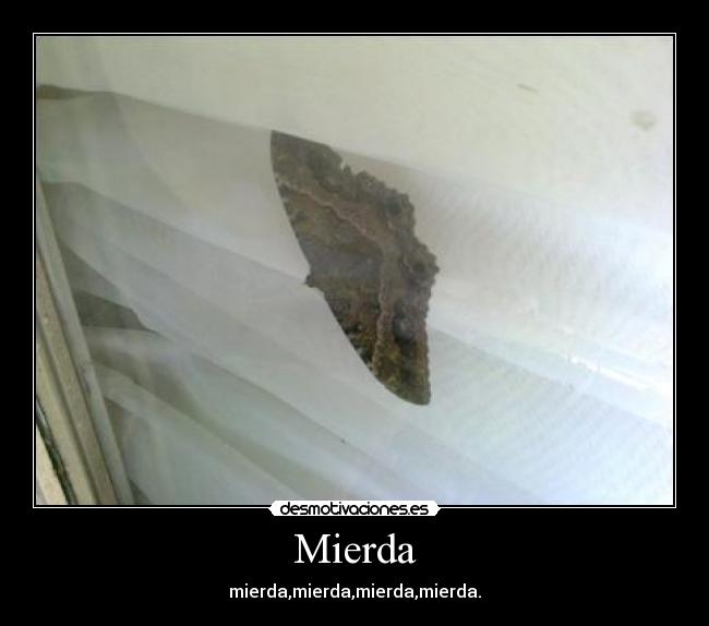 Mierda - mierda,mierda,mierda,mierda.