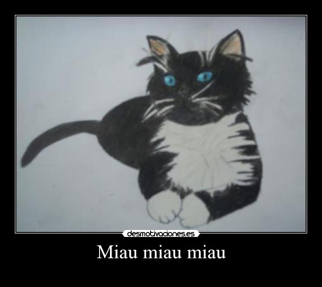Miau miau miau -