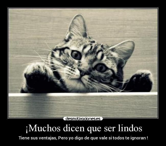 carteles ser lindos desmotivaciones