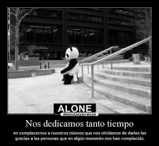 Nos dedicamos tanto tiempo -