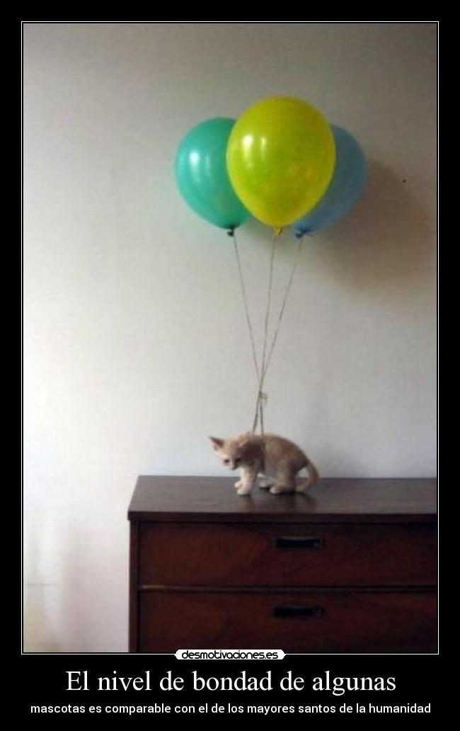 carteles estoy mucho mejor patologia demos gracias por eso por este optimismo descontrolado desmotivaciones