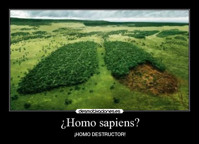 ¿Homo sapiens? -