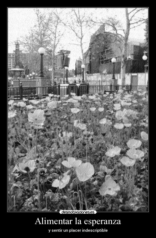 Alimentar la esperanza -