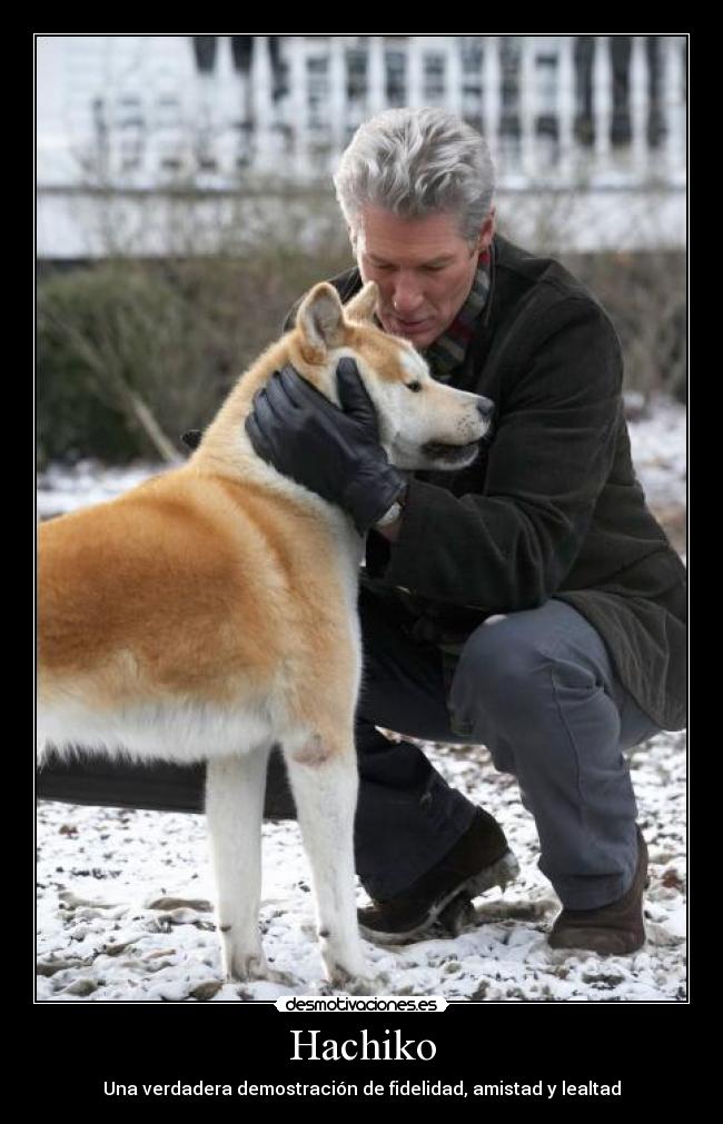 Hachiko -