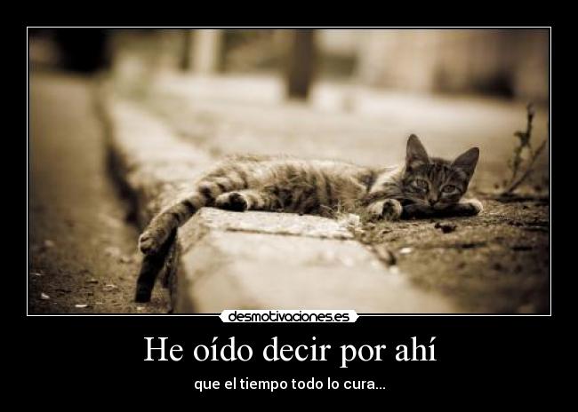 He oído decir por ahí - 