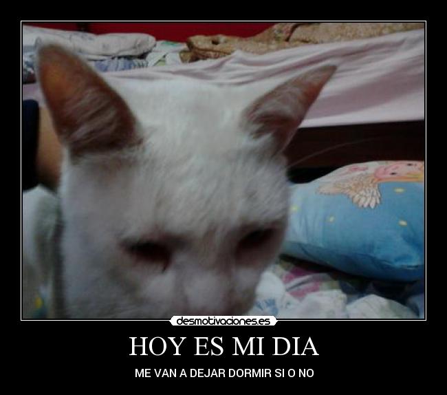 HOY ES MI DIA - ME VAN A DEJAR DORMIR SI O NO