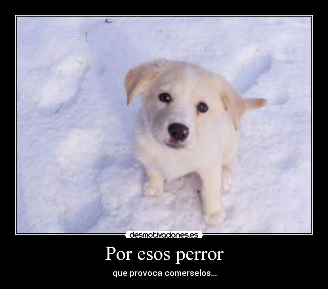Por esos perror -