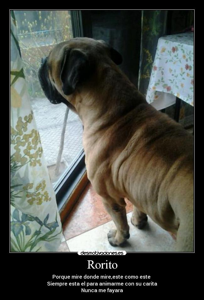 carteles amig0 desmotivaciones