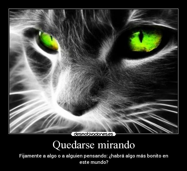Quedarse mirando - Fijamente a algo o a alguien pensando: ¿habrá algo más bonito en este mundo?