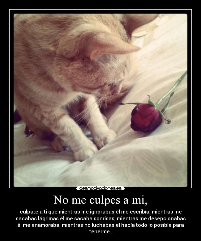 No me culpes a mi, - 
