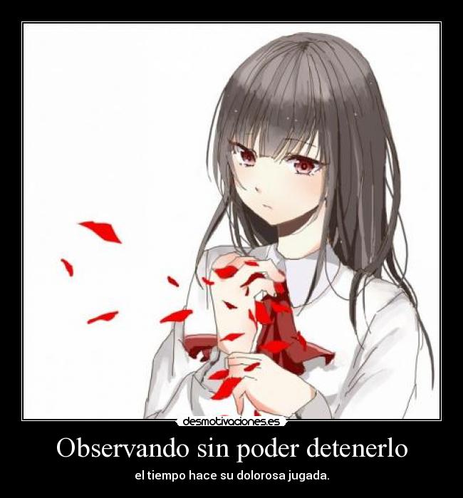 Observando sin poder detenerlo -