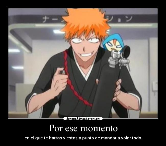 carteles bleach ichigo kurosaki rinrin bounds shinigami harukaze manga anime volar desmotivaciones