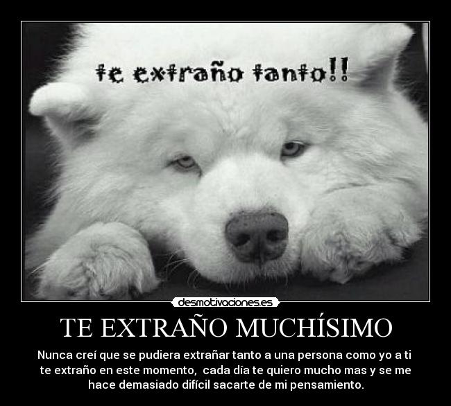 TE EXTRAÑO MUCHÍSIMO - Nunca creí que se pudiera extrañar tanto a una persona como yo a ti 
te extraño en este momento,  cada día te quiero mucho mas y se me
hace demasiado difícil sacarte de mi pensamiento.