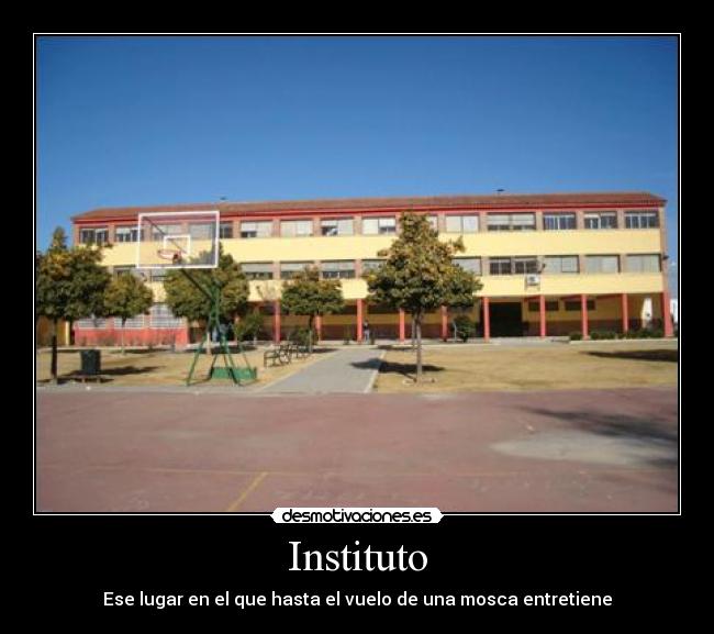 Instituto - Ese lugar en el que hasta el vuelo de una mosca entretiene