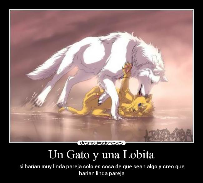 Un Gato y una Lobita -