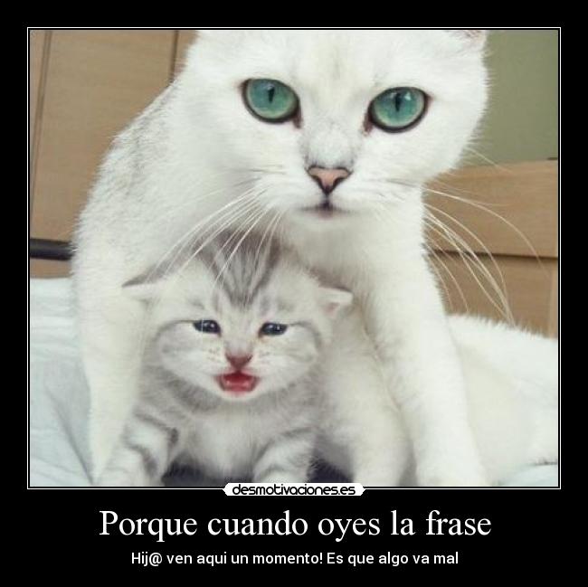 Porque cuando oyes la frase -