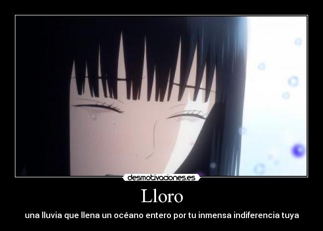 Lloro - 