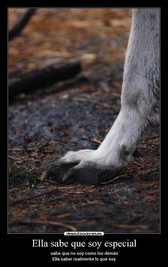 Ella sabe que soy especial -
