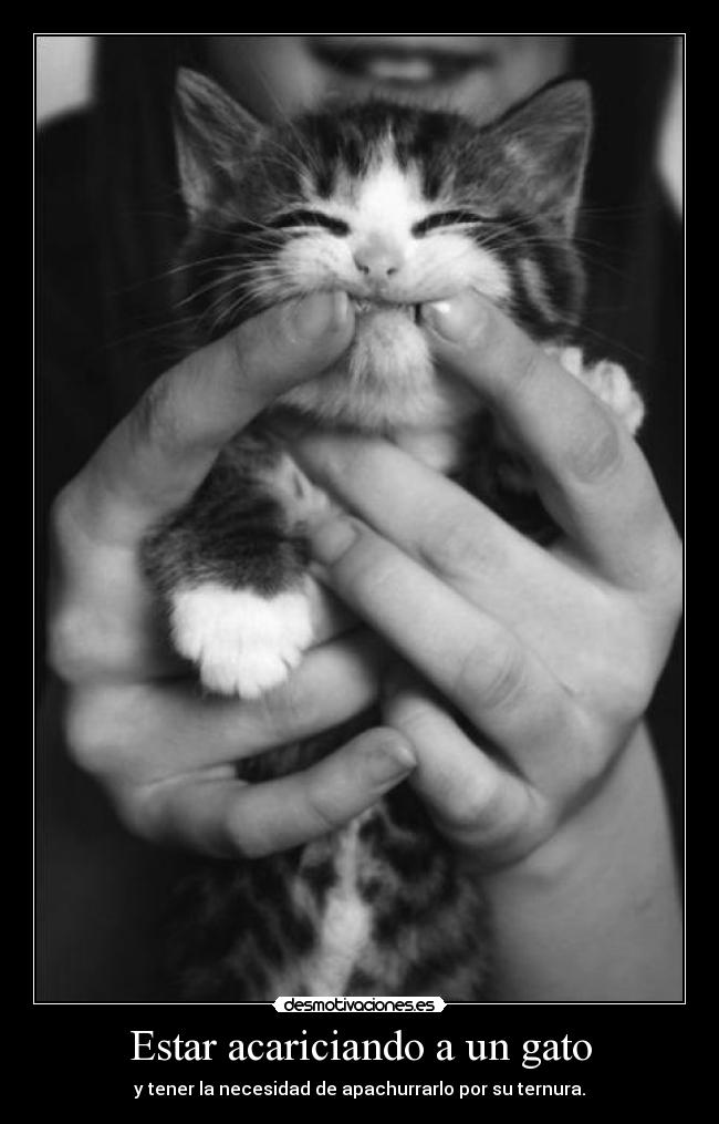 Estar acariciando a un gato - y tener la necesidad de apachurrarlo por su ternura.