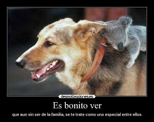 Es bonito ver - 