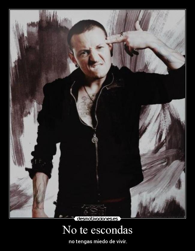 carteles escondas tengas miedo vivir joga maria munoz sigues robando sueno desmotivaciones