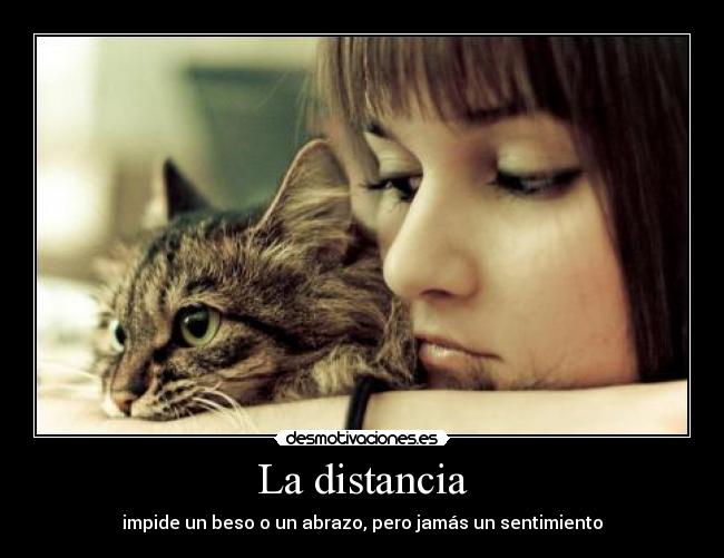 La distancia - impide un beso o un abrazo, pero jamás un sentimiento